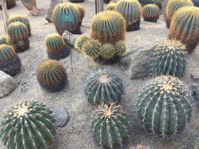 T{e_Ƃ~[WAi΂ƉԂƒ̔فj