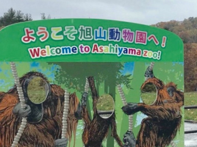 �y����_���R������