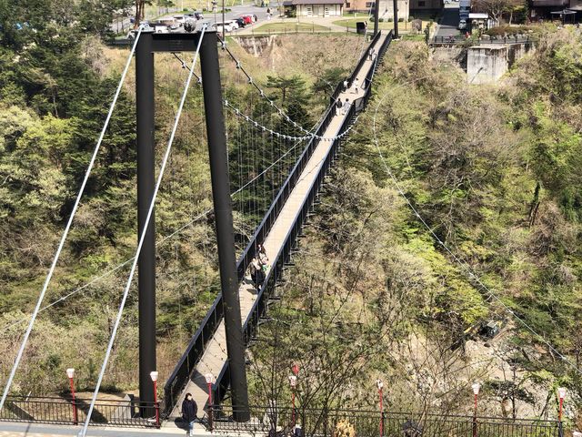 �Ί݂̏�_�S�{�|���݋�