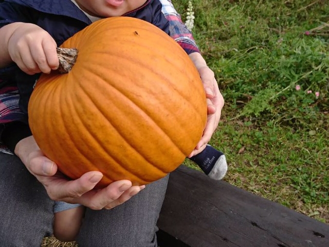 ���[�N�q���t�@�[��