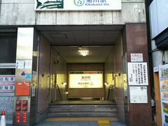 kelly̓scVh ewւ̓eʐ^1