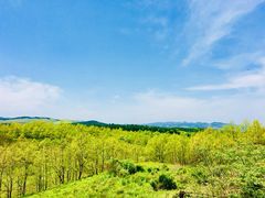 E̋̃GEpeBIqւ̓eʐ^1