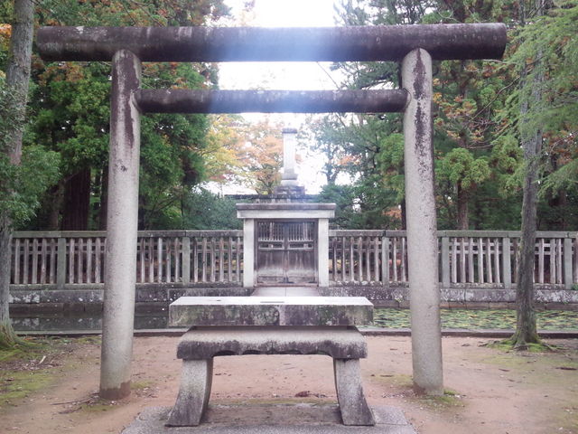 �O�c�����揊