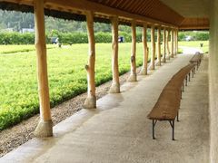 ܂Ȃ܂܂̃R[i ߍ]ւ̓eʐ^1