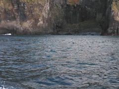 MATCHN̒mόD[ւ̓eʐ^1