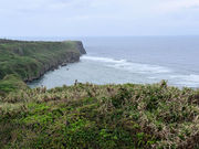 ��������̃t�i�E�T�M�o�i�^�W�]�{�݂̓��e�ʐ^2