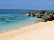 ��������̒r�ԓ��̓��e�ʐ^1