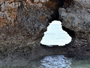 ��������̒r�ԓ��̓��e�ʐ^3