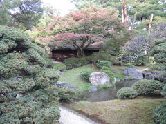 Ȃ񂳂̋s䏊ւ̓eʐ^1