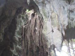 񂳂̃KK[̒Jւ̓eʐ^1