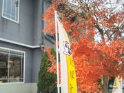 usa̕xmُ@@͌ΔȓX̓eʐ^1