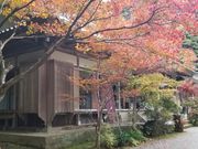 �T�J�i����̒������i�啪���L�㍂�c�s�j�̓��e�ʐ^3