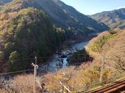 낽񂳂̗Ր쎛i쌧㏼j̓eʐ^1