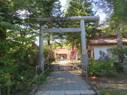 񂳂̒ҎRV_Ђ̓eʐ^1