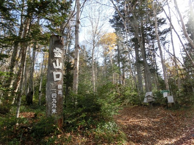 ܂܂ς񂾂̃Ilg[ݖc̓eʐ^1