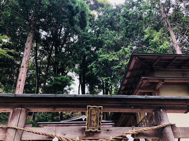 ���サ�����̎ʐ^�B�e�͋֎~�̂悤�ł��B_�䔯�_��