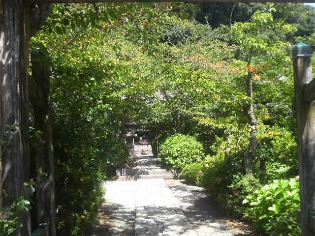 Ƃ񂳂ܑ̌哰@̓eʐ^2