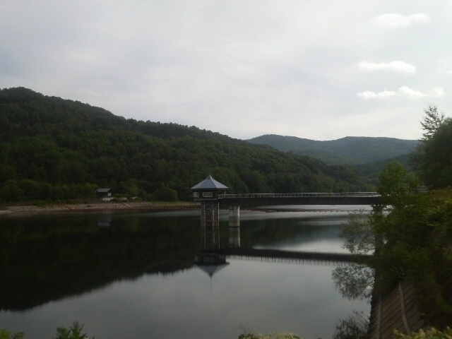 Ƃ񂳂̂QPI̐XLv̓eʐ^5