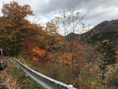 񂹂A _CGbgłB̎l_ւ̓eʐ^1