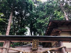 arincǒ䔯_Ђւ̓eʐ^1