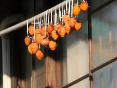 Ƃ񂳂̂݂̒ւ̓eʐ^10