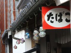 Ƃ񂳂̂݂̒ւ̓eʐ^8