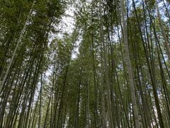 panchan̒|т̓ւ̓eʐ^2