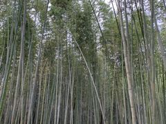 panchan̒|т̓ւ̓eʐ^3