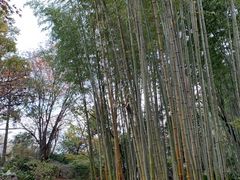 panchan̒|т̓ւ̓eʐ^4