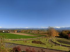 �܂܂ς񂾂���̔��l�x�ւ̓��e�ʐ^1