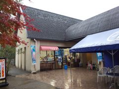 PES����̃��C�i���[���X�g���������̏��ւ̓��e�ʐ^1