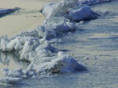 ������񂳂�̐z�K�΂̌�_�n��ւ̓��e�ʐ^1