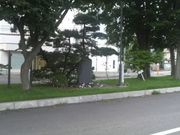 Ƃ񂳂̒OYqŌ̒n̓eʐ^1