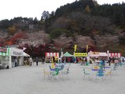 �\�E�~�T����̏����ӂꂠ�������̓��e�ʐ^2