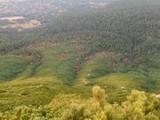 ܂܂ς񂾂̎Ilg[Rx{т̓eʐ^3