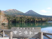 ܂܂ς񂾂̃Ilg[W]̓eʐ^1