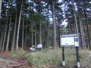 ܂܂ς񂾂̑̃AJG]}cт̓eʐ^2