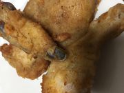 񂯂񂳂̃P^bL[tCh`LX̓eʐ^1