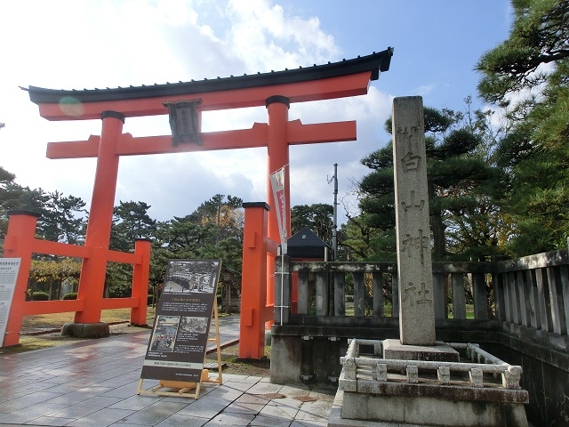 ゆうさんの投稿/白山神社 ｜ ことりっぷ