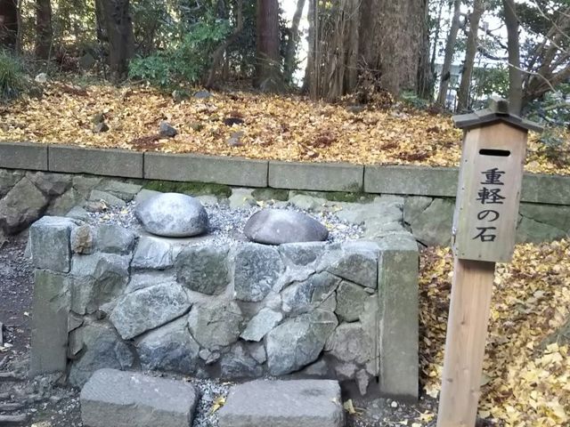 �d�y�̐�_�\�F�_��