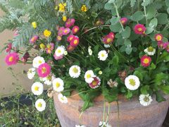 ̂肱̗R̋x sE|́iԂ肩jւ̓eʐ^3