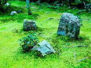 Garden����̖��S���j�t�@�̓��e�ʐ^6