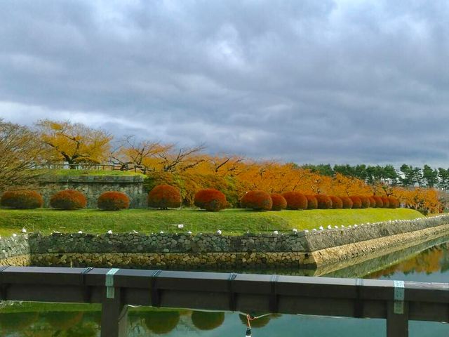 �ܗŊs����_�ܗŊs����