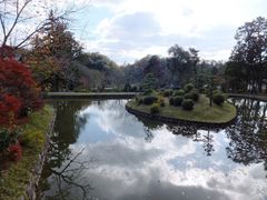 ���ڂ炳��̍��Ҏ��뉀�ւ̓��e�ʐ^1