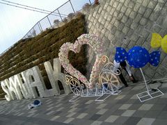 akane̎OXJCEH[Nւ̓eʐ^1