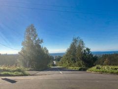 ͂͂͂邳̒mΗ Vɑւ̓eʐ^1