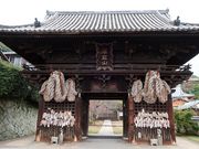 �����̂�������̐������̓��e�ʐ^1