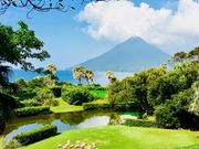 E̋̒@p[LOK[f̓eʐ^2