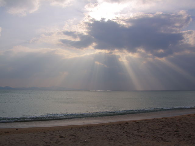 �N�����Ȃ��C_21���I�̐X�r�[�`