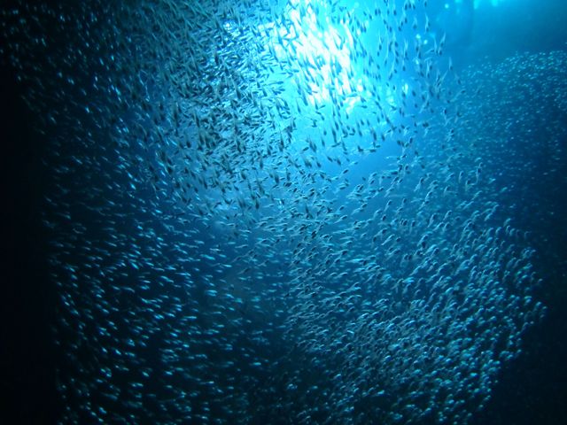 ���̎����͐�������ł�炵���Ƃ��Ă����ꂢ�ł����I�I�I_�}�����N���u Gigi